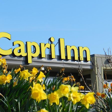 Capri Inn Saint Catharines Экстерьер фото