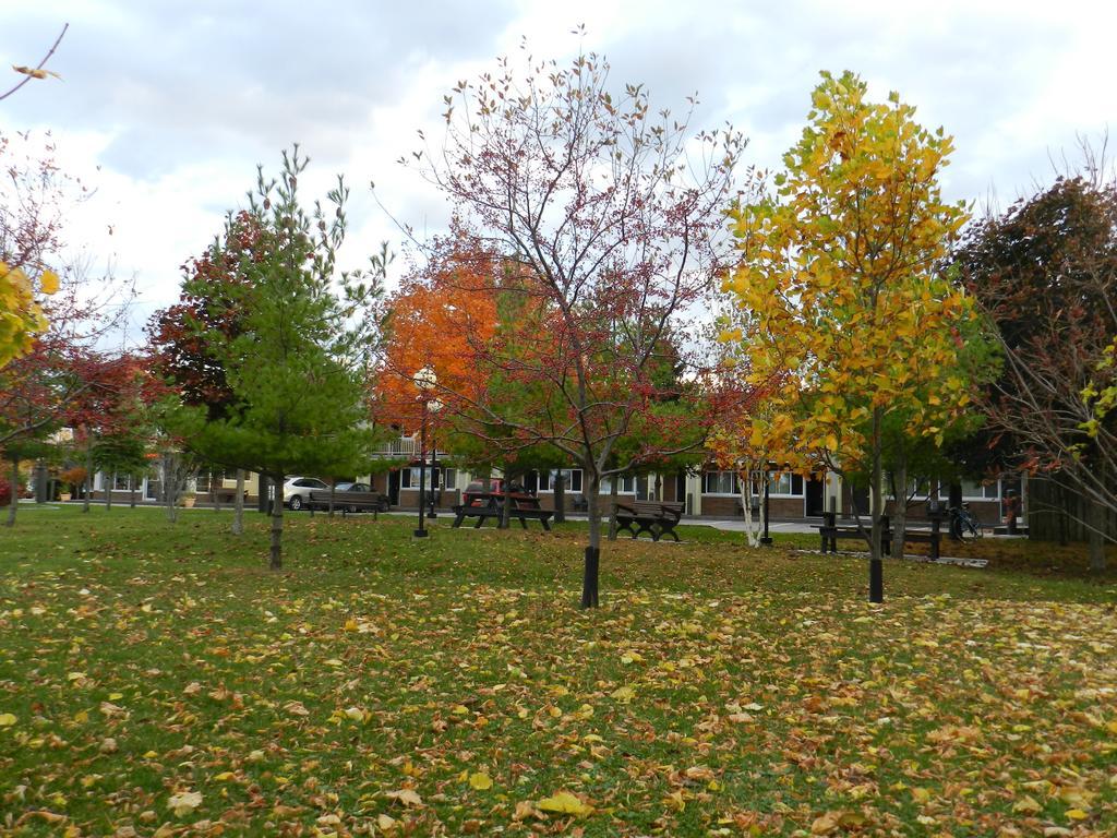 Capri Inn Saint Catharines Экстерьер фото