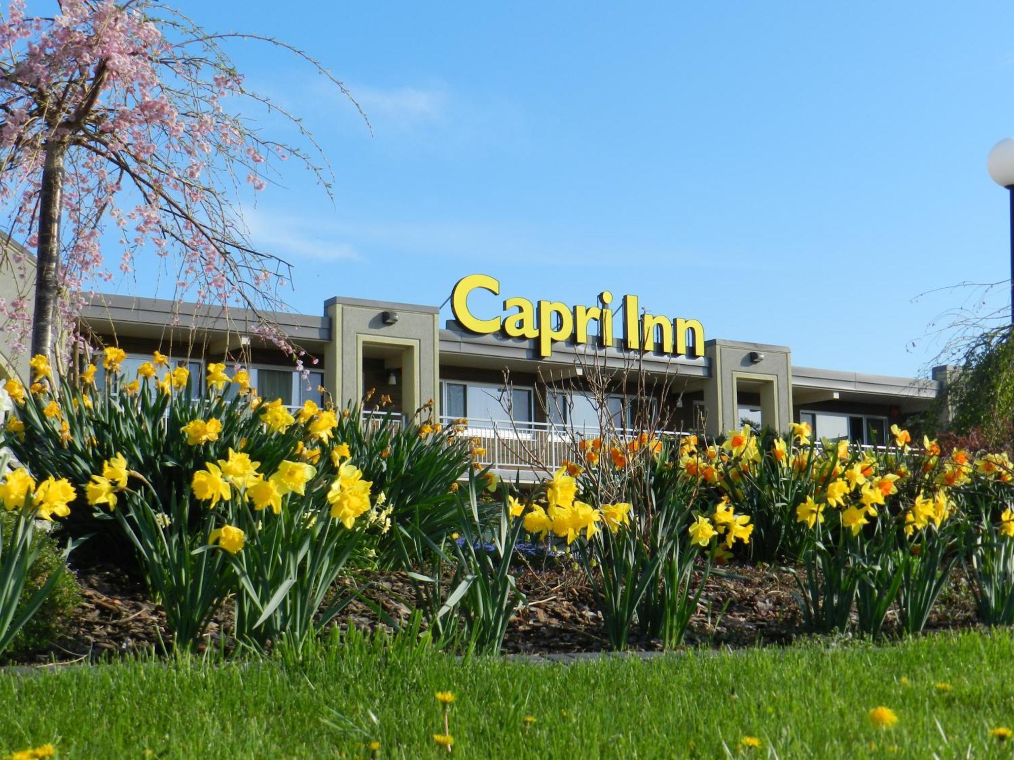 Capri Inn Saint Catharines Экстерьер фото