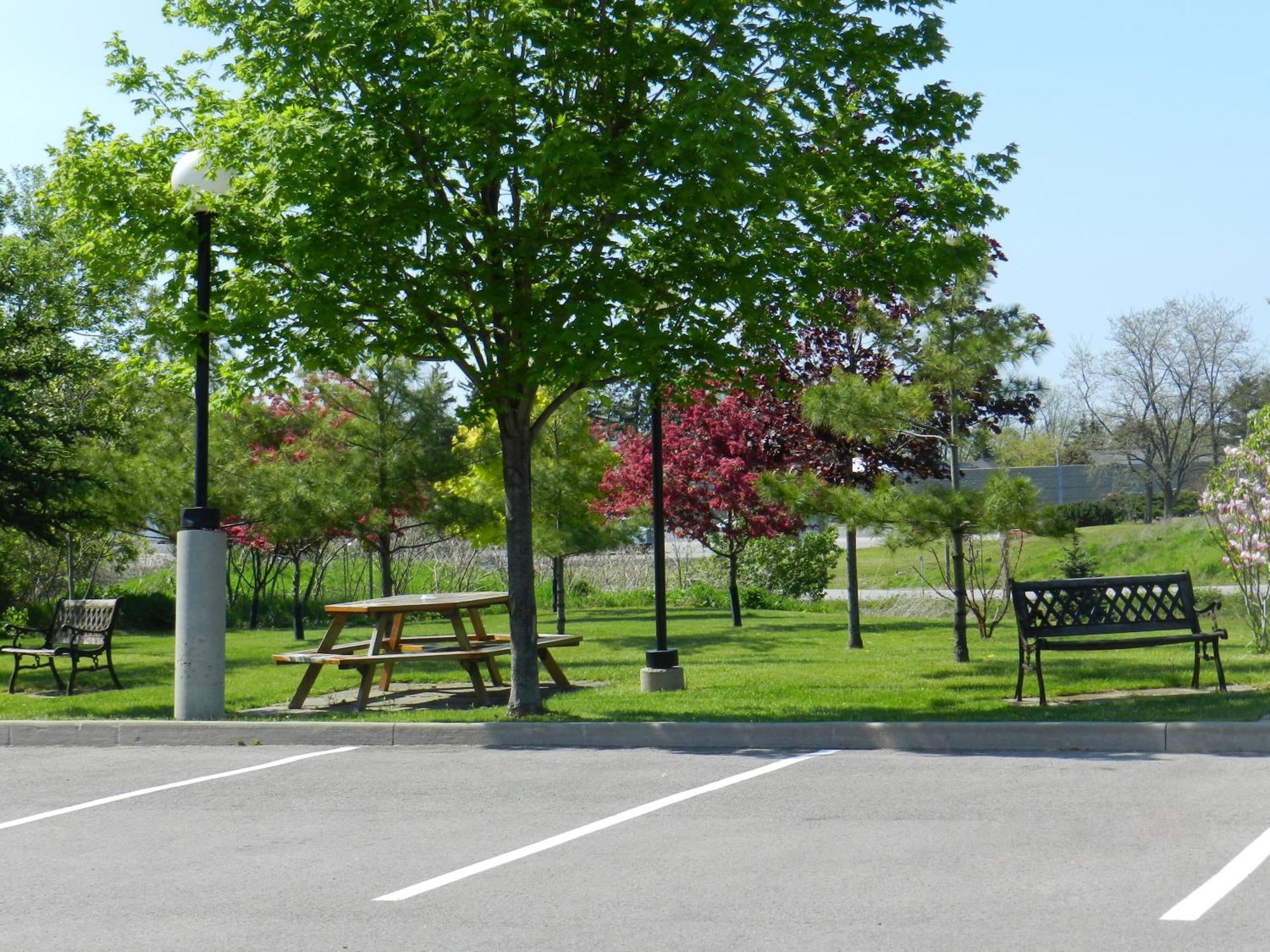 Capri Inn Saint Catharines Экстерьер фото