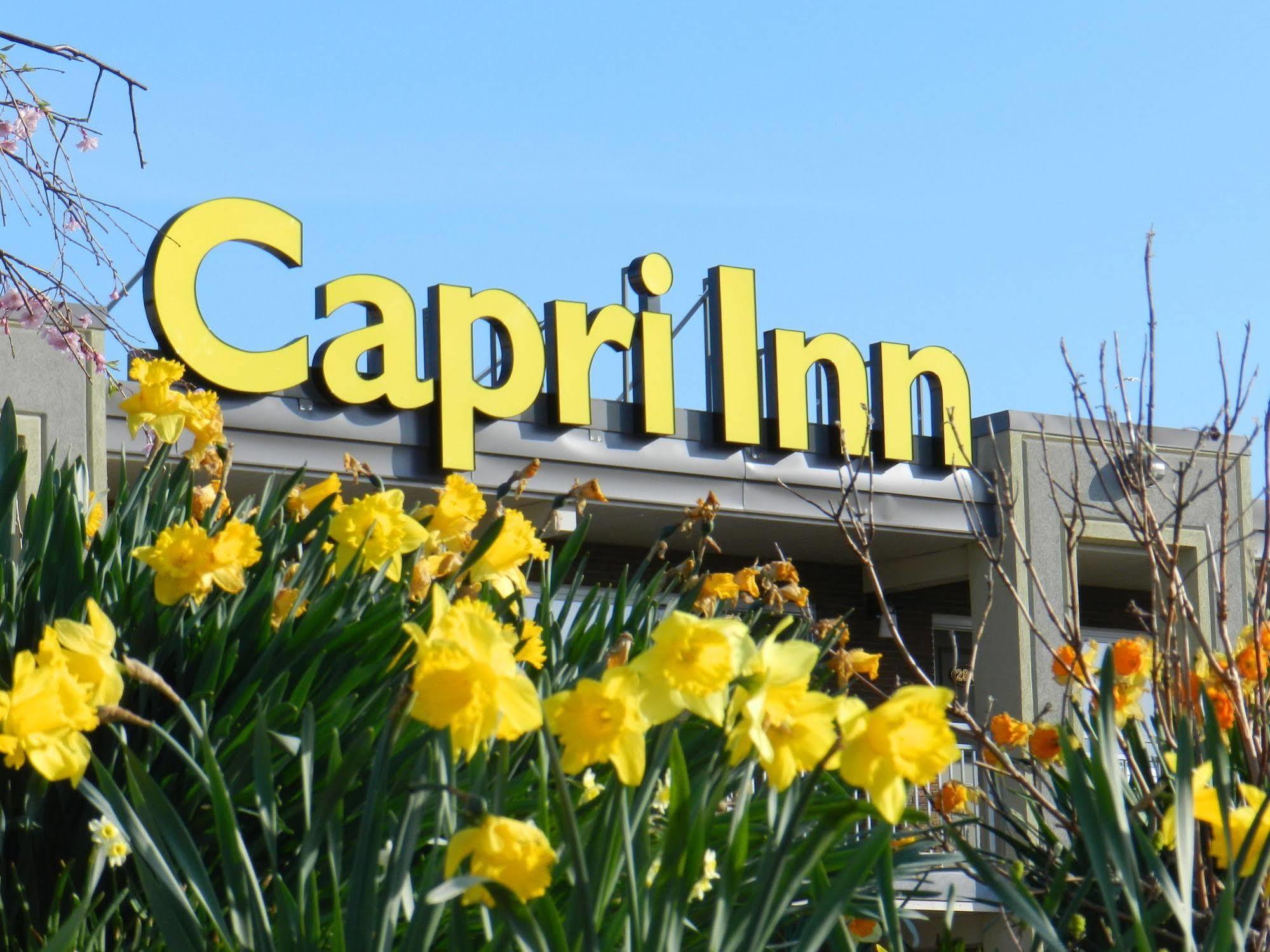 Capri Inn Saint Catharines Экстерьер фото