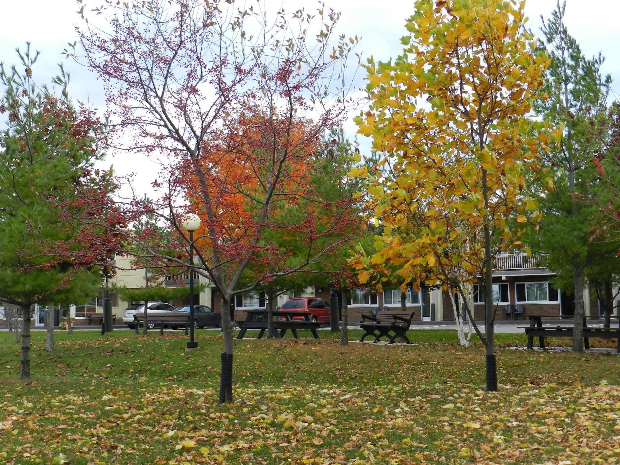 Capri Inn Saint Catharines Экстерьер фото