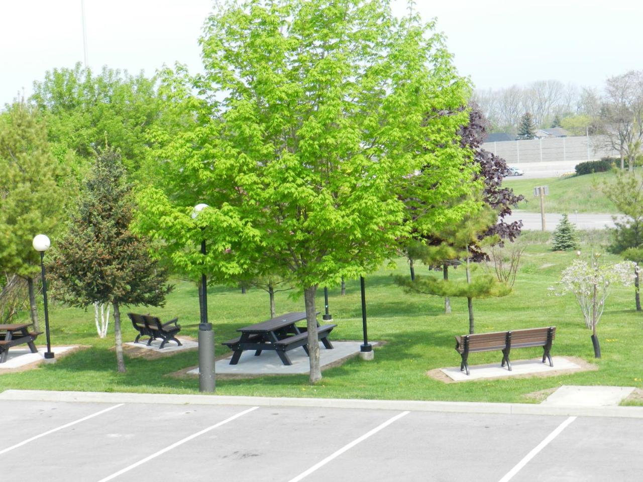 Capri Inn Saint Catharines Экстерьер фото