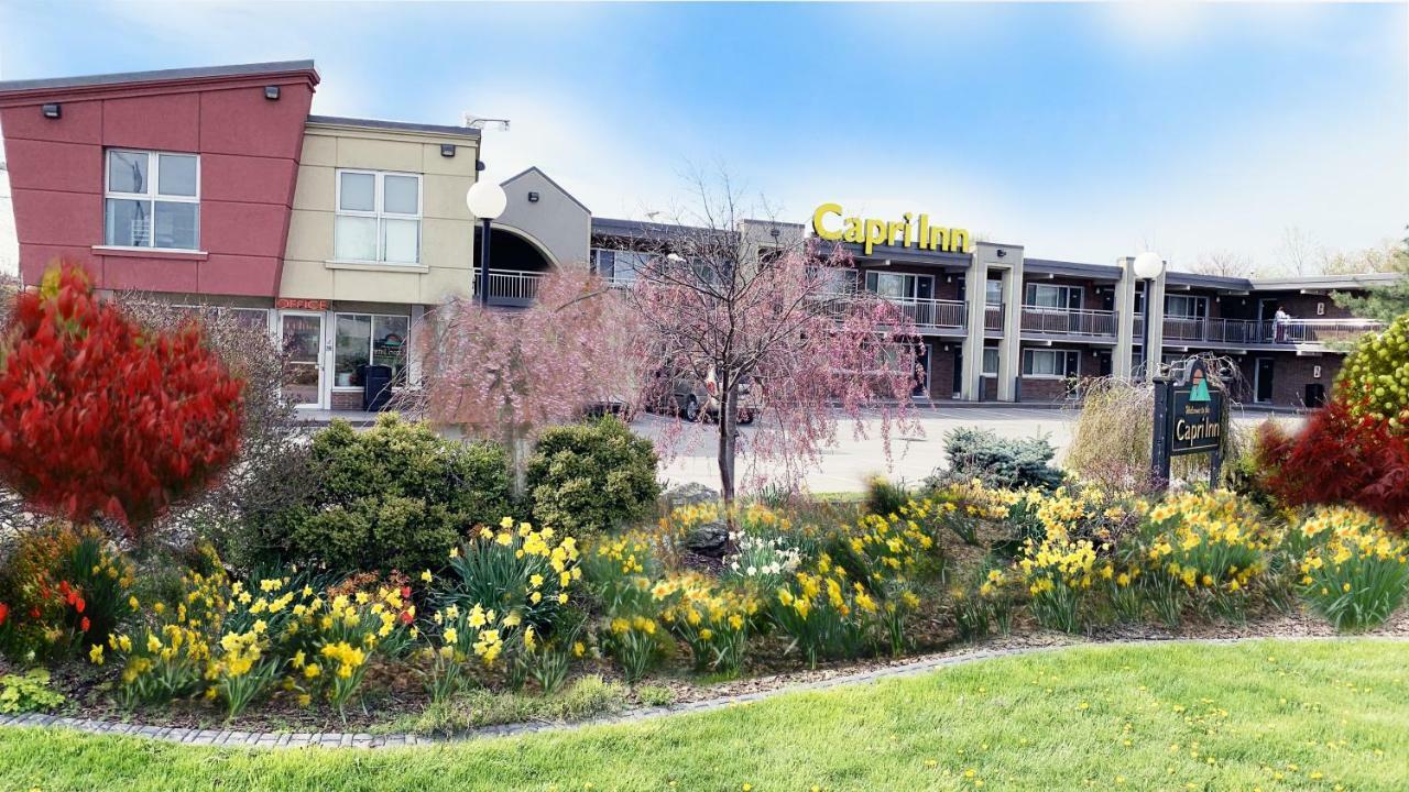 Capri Inn Saint Catharines Экстерьер фото